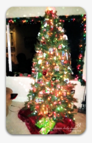 Picture - Christmas Tree