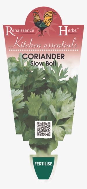 Related Recipes - Coriander