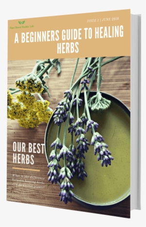 7c608bae16c01519268193 Herb 3d Book Cover Reduced Twice - Herb