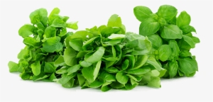 Naked Leaf Herbs Loose Product Shot - Mucci Farms Ltd.