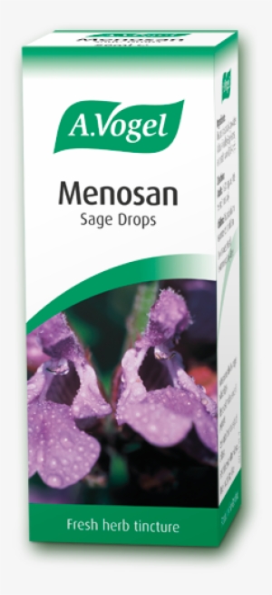 Extracts Of Fresh Sage Herb - Vogel Menosan Sage Drops