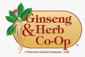 Ginseng