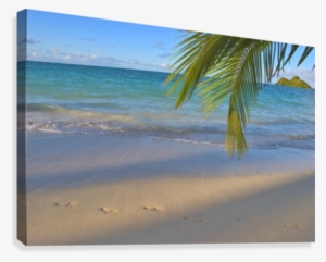 Hawaii, Oahu, Footprints In The Sand At Lanikai Beach
