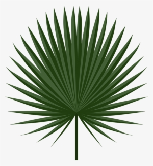 Image Result For Cabbage Leaves Egypt Game - Palmleaf Png