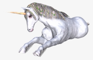 Unicorn, Fantasy, Fairy, Tale, White - Unicorn