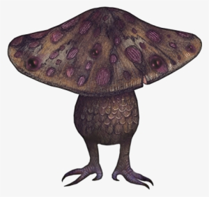 Illustrations - Insect