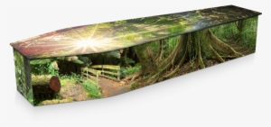 Expression Cofins - Rainforest