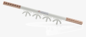 Take Control Of Your Body And Health Trajectory Today - Heat