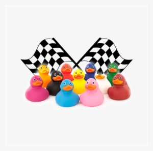 4 - Checkered Flag Go