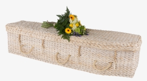 Prev - Bird Of Paradise