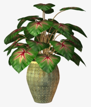 Pot Plant Clipart Transparent - Flower Plants In Pot Png
