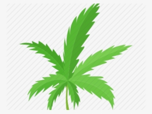 Weed Leaf Cartoon Png
