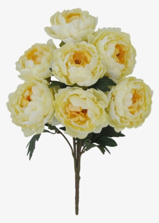 Floribunda