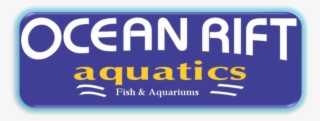 Ocean Fish Png