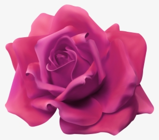 Beautiful Rose Pink Transparent Image Gallery Yopriceville