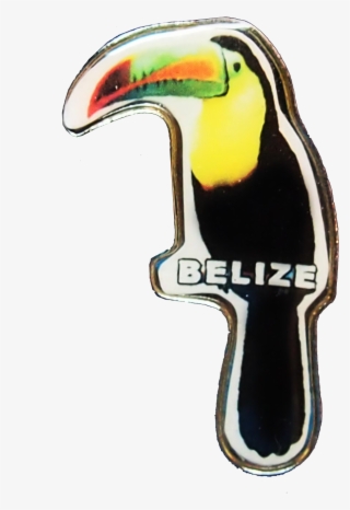 Toucan