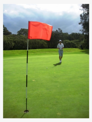 Golf Photo Gallery - Grass