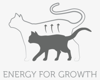 An Animal Protein And Fat Rich Formula, Blended With - Black Cat