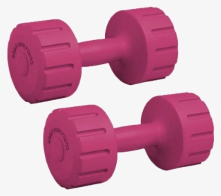 4 Kg Vinyl Dumbell Bw 102-set - Dumbbell