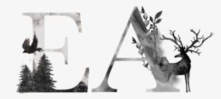 2019 Erin Aasland Photography Logo