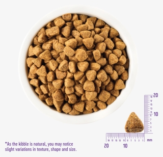 Product Image - Wellness Core Puppy Small Breed