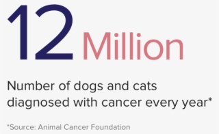 Insight-0303 - Trouble Maker