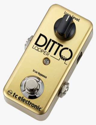 Ditto Looper Gold