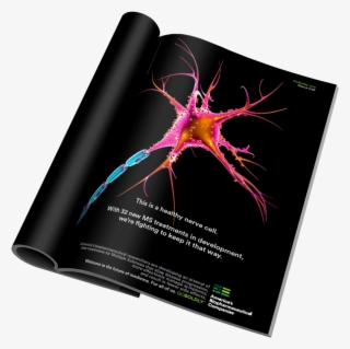 Nerve Cell Mag Mockup Nobackground