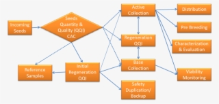 General System Of Seed Flows In National Genebank - Diagram