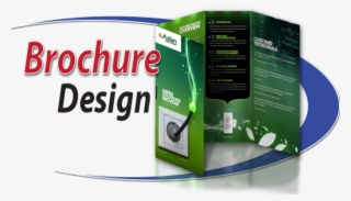 Brochure Designing - Graphic Design