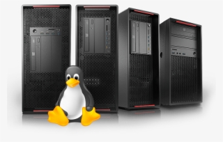 In Terms Of Server Technology, There Is One Name That - King Penguin