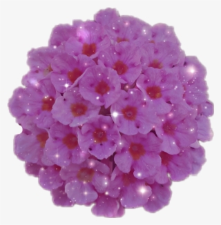 #flower #bouquet #pink #glitter - Hydrangea