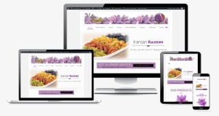 Web Design Offer - Online Advertising