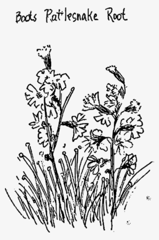 Drawing Line Art Computer Icons Floral Design Booting - Boot