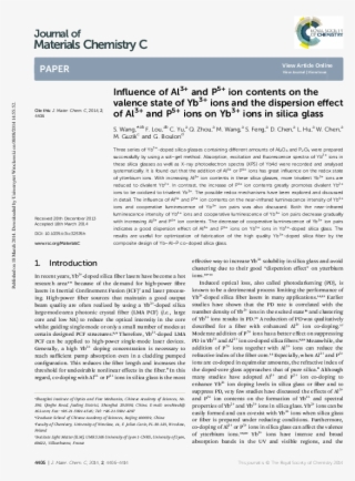 Pdf - Goose Tower In Vordingborg, Zealand