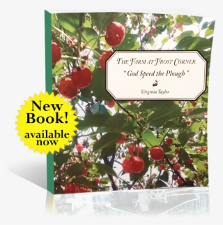 Homestead Farming - Rose