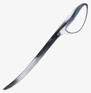 Vagnbys Champagne Saber - Blade