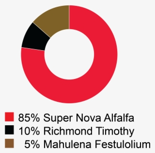 Supernova Graph - Circle