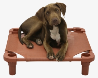 Clay Tweed Cot