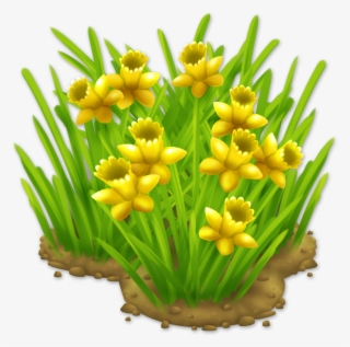 Daffodils Png - Daffodils - Tulip