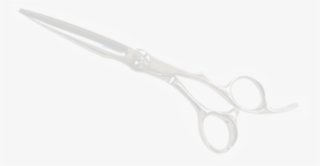 Scissors
