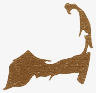 Cod Png