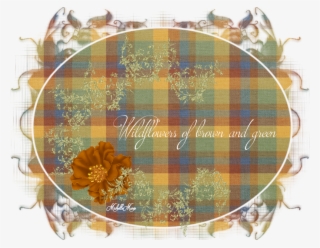 I Remember My Wildflowers That Bloom In The Spring - Tartan