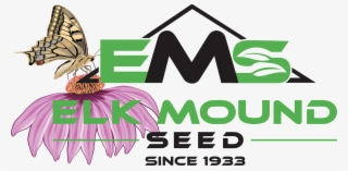 Elk Mound Wildflowers