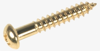 Bigsby, Regular - Gold Screw Png