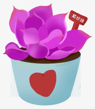Potted Fleshy Plants Hand Painted Png And Psd - Flowerpot