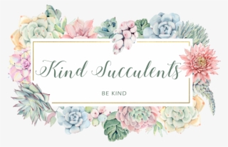 Kind Succulents - Garden Roses