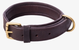 Dog Collar With Lining - Strap
