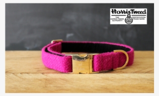 Boho Dog Collar Pink