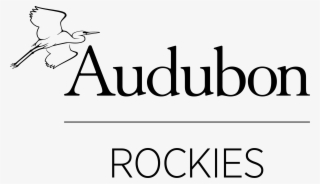 Audubon V Blk Rockies